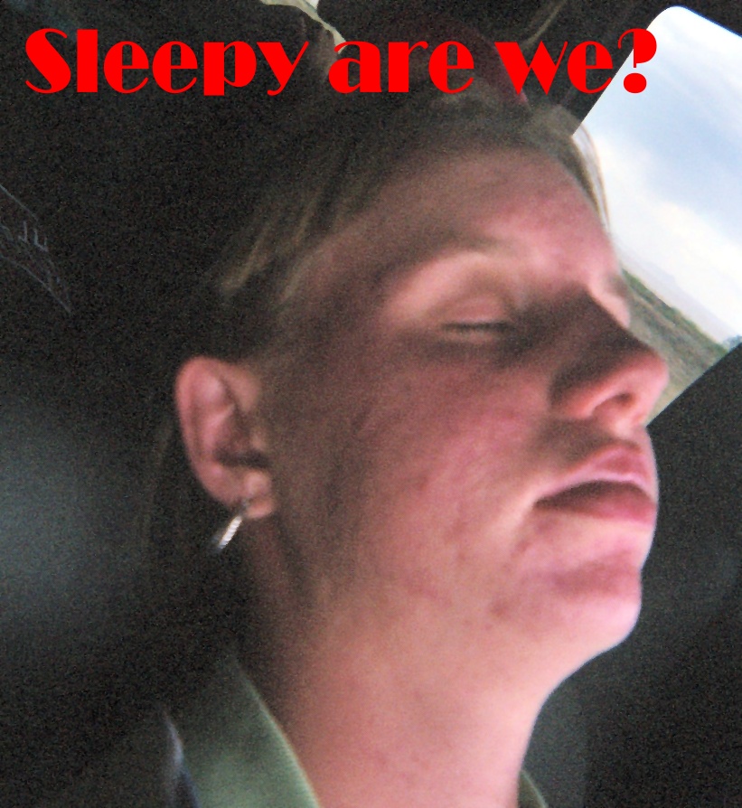 003_0a.jpg